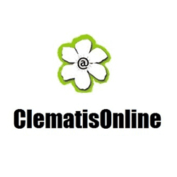 Clematis Online